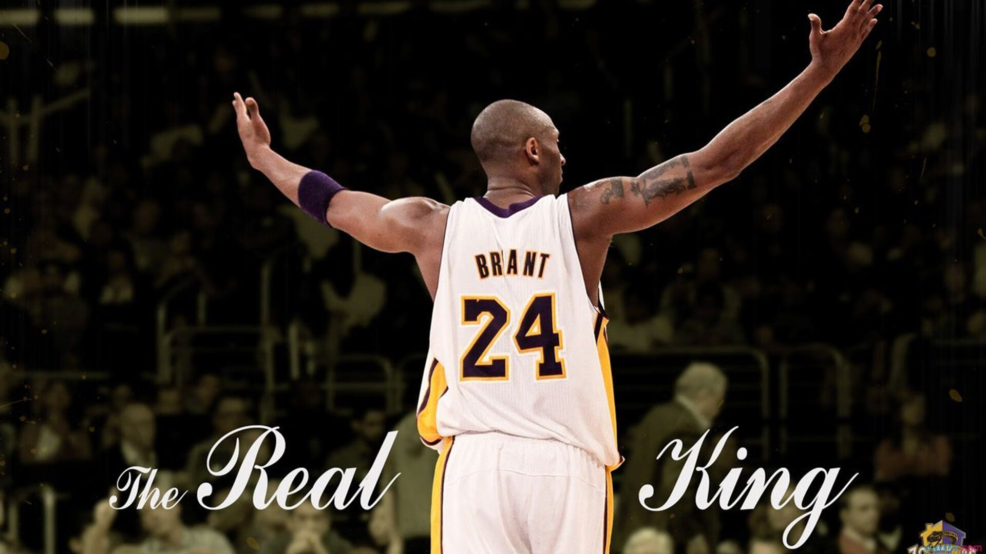 德国新星刷新全国纪录，德国新生代球星